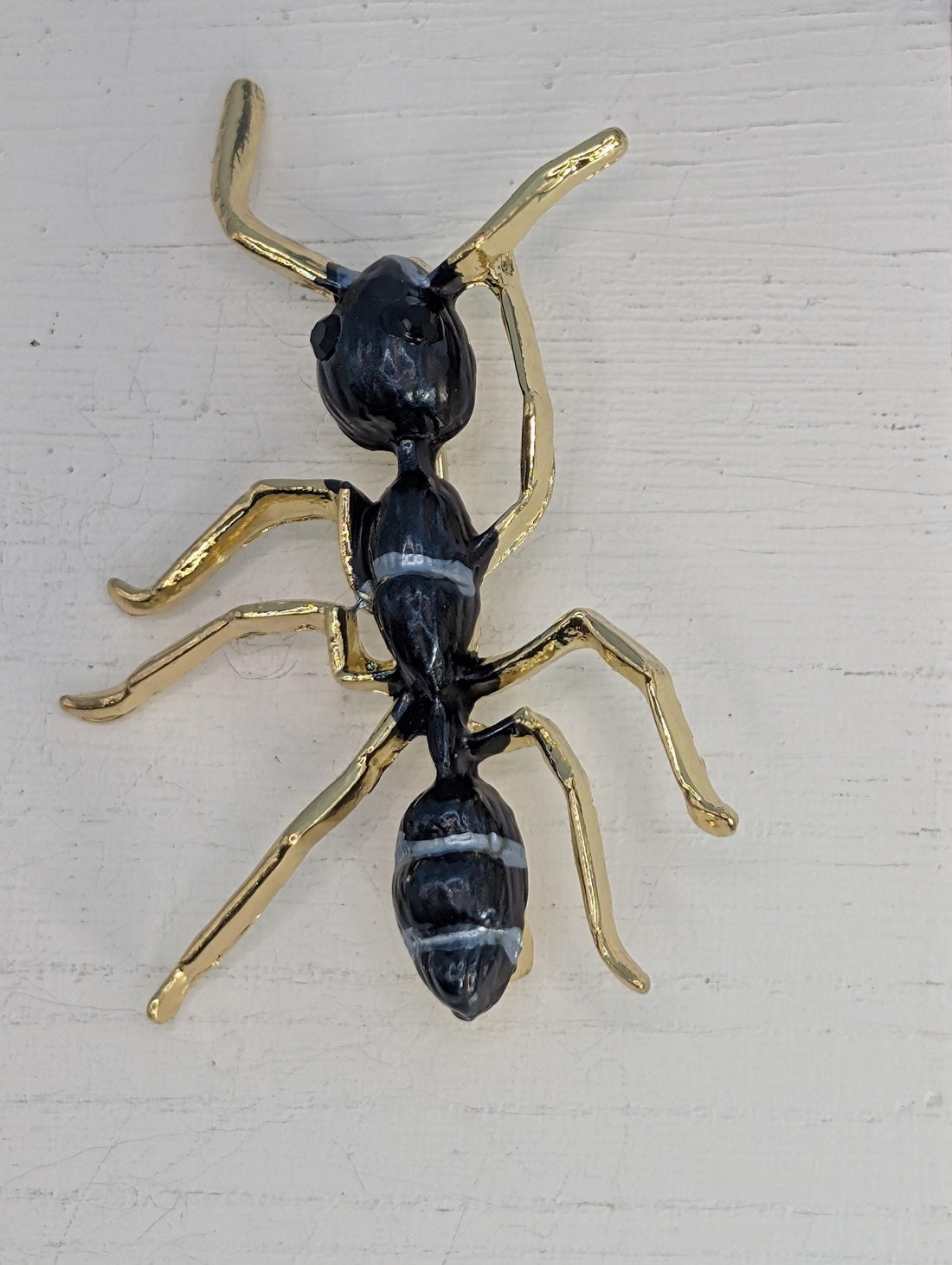 A close-up view of a shiny, metallic ant with a black body and gold legs, displayed in a frame against a dark background.