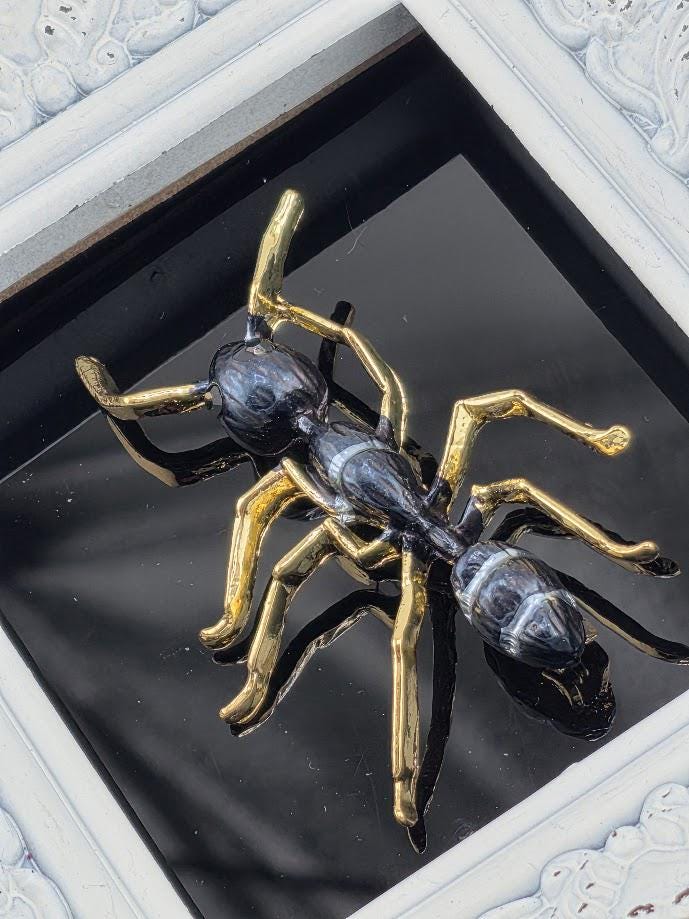 A close-up view of a shiny, metallic ant with a black body and gold legs, displayed in a frame against a dark background.
