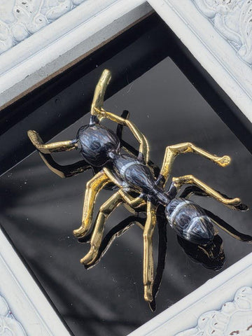 A close-up view of a shiny, metallic ant with a black body and gold legs, displayed in a frame against a dark background.