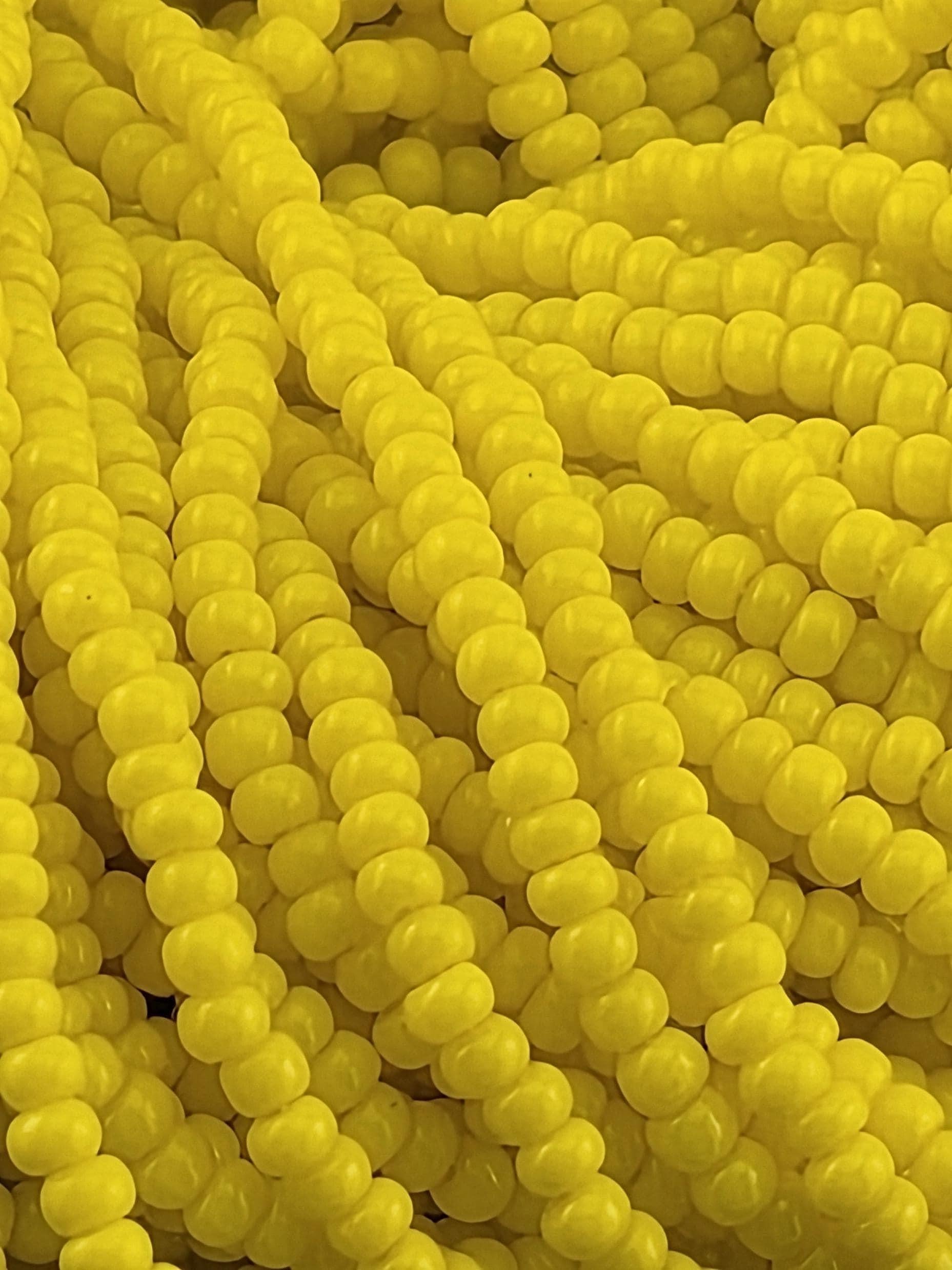 Opaque Yellow | Size 11 | Half-Hank (12" 6-String) | Preciosa-Ornela Glass Seed Beads | Czech Seed Beads | Bead Weaving Embroidery Supply