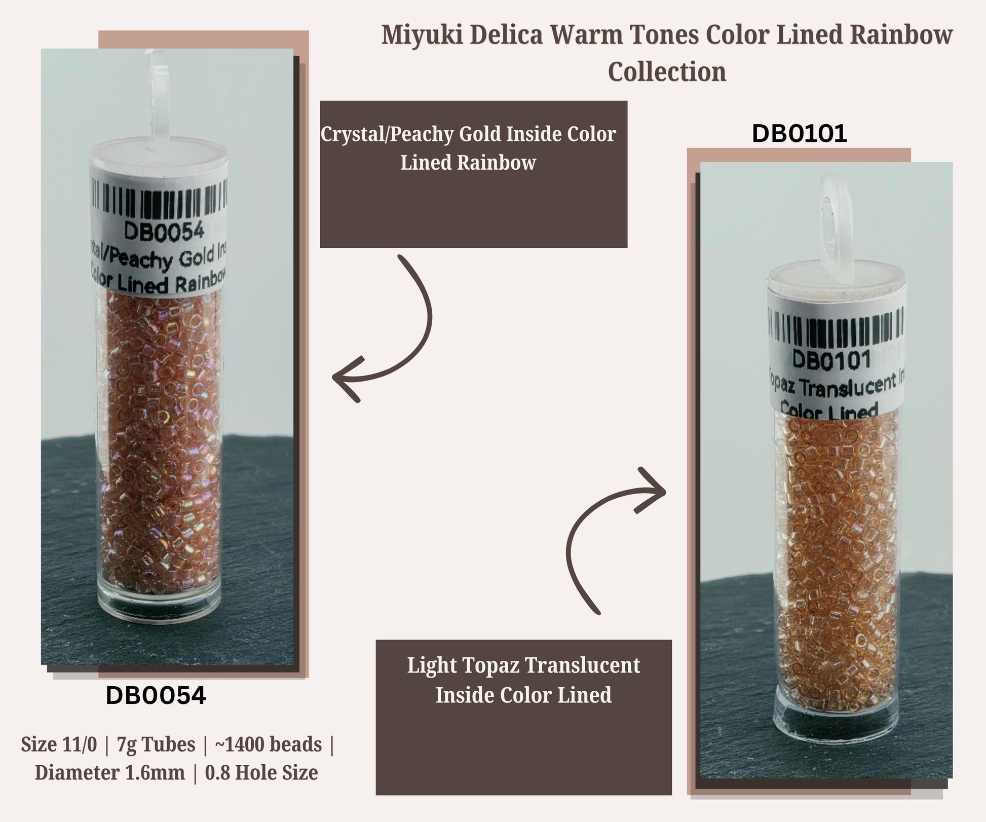 Warm Tone Inside Color Lined