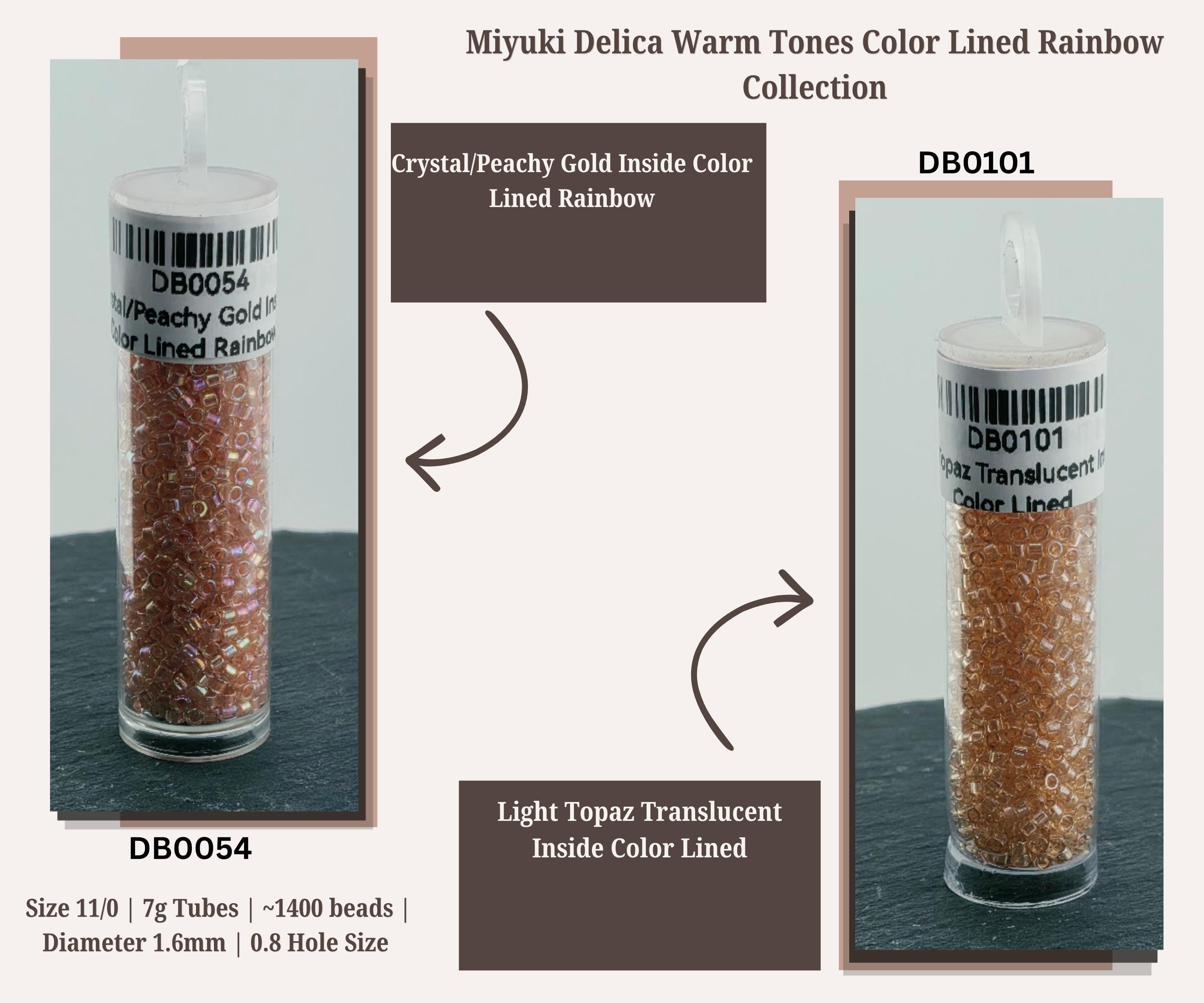 Warm Tone Inside Color Lined