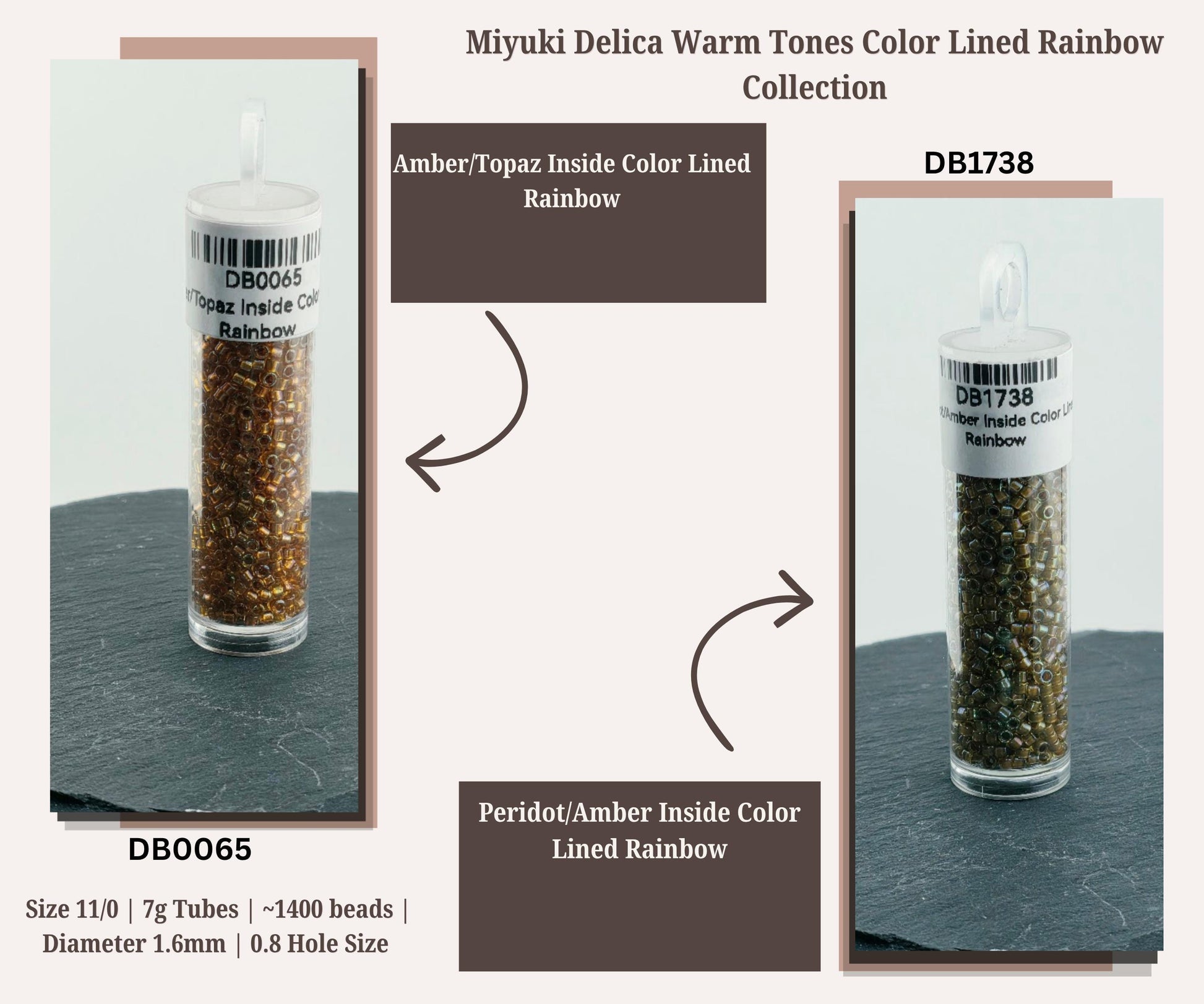 Warm Tone Inside Color Lined