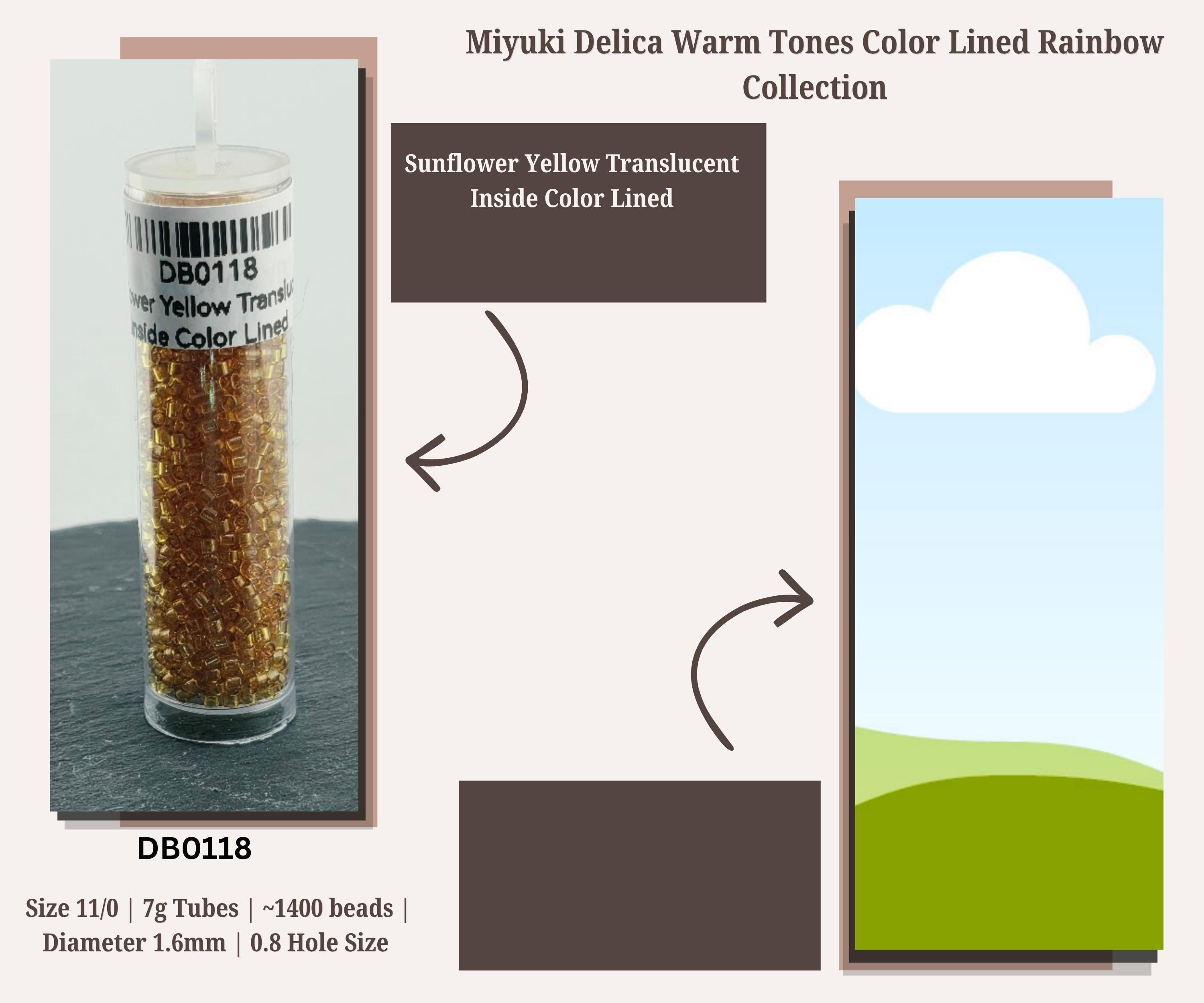 Warm Tone Inside Color Lined