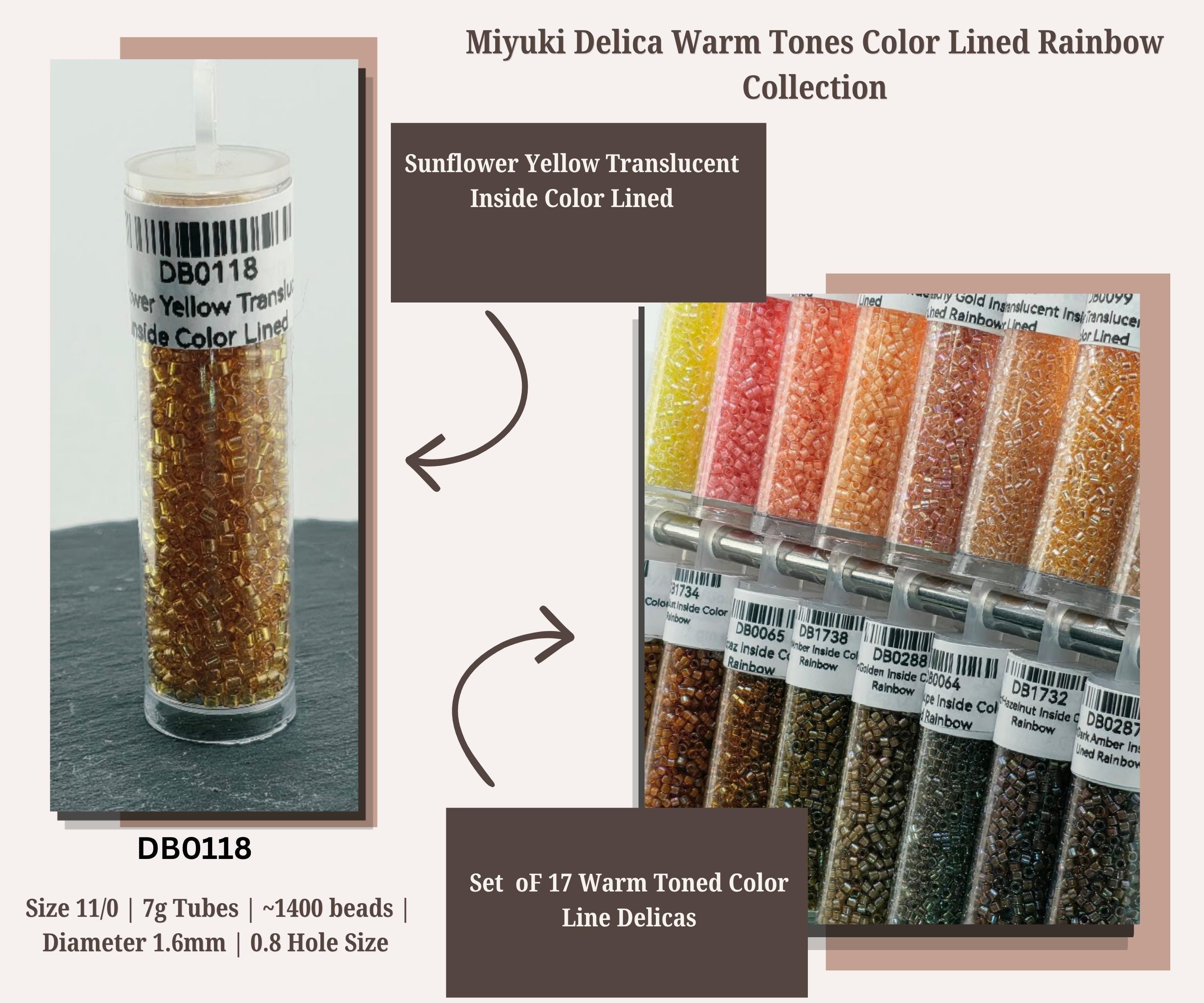 Warm Tone Inside Color Lined