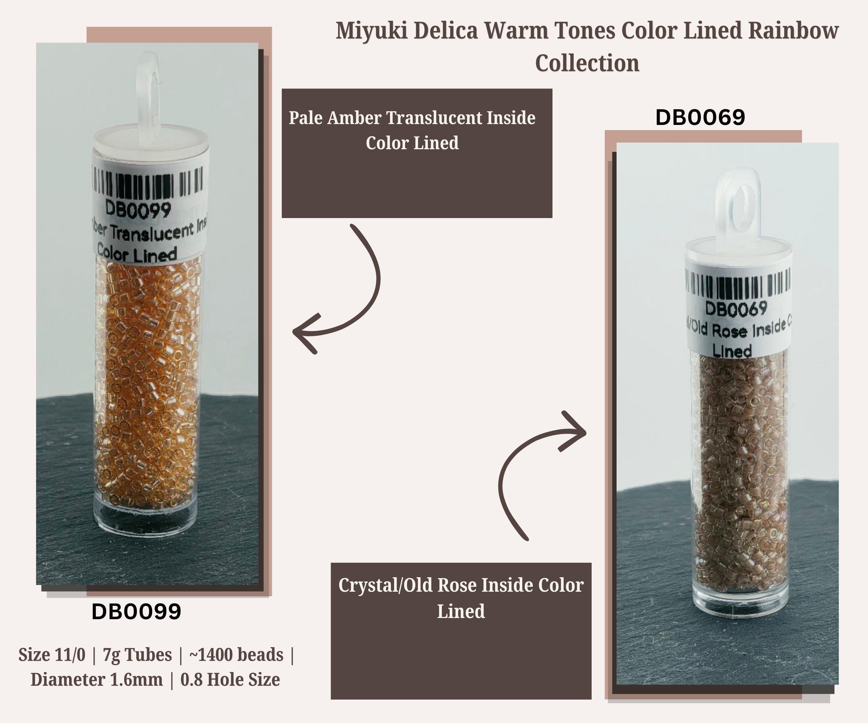 Warm Tone Inside Color Lined