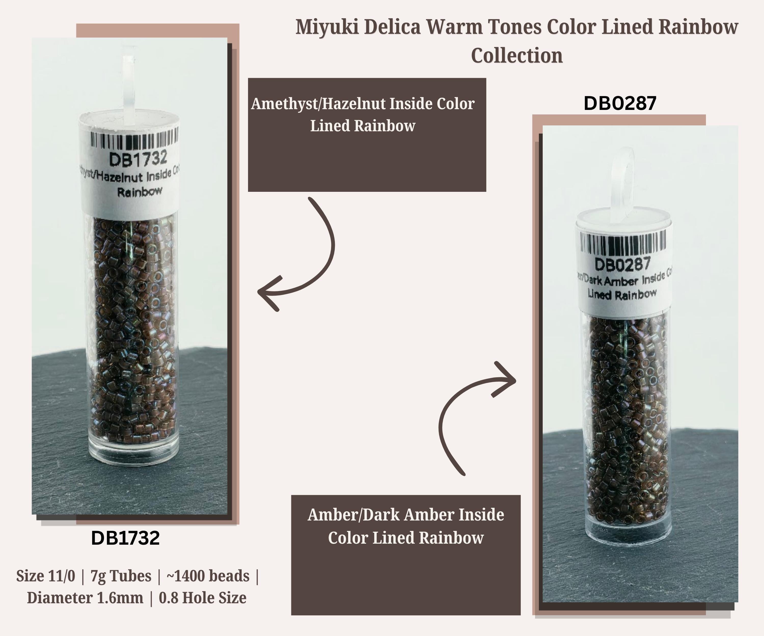 Warm Tone Inside Color Lined