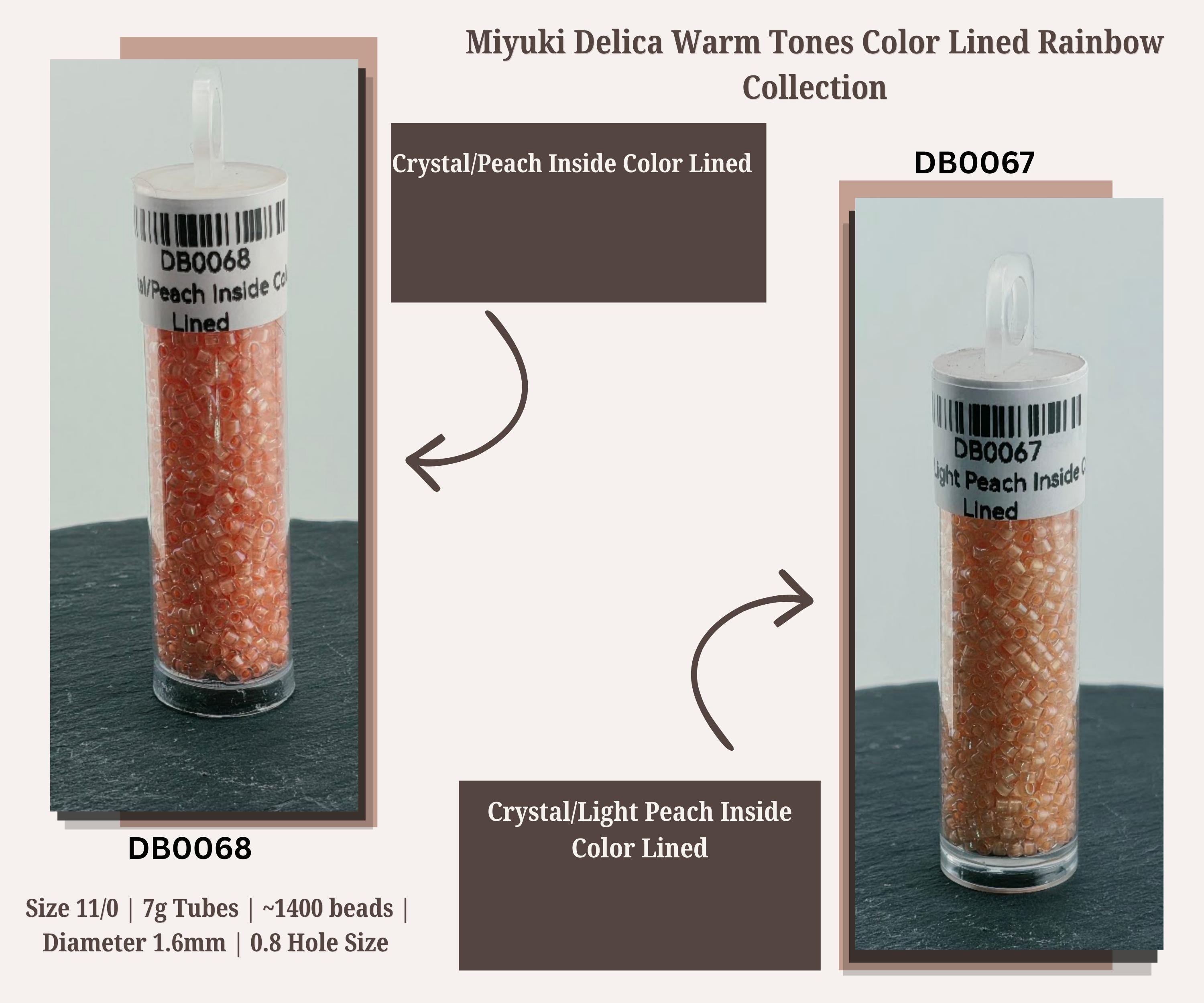Warm Tone Inside Color Lined
