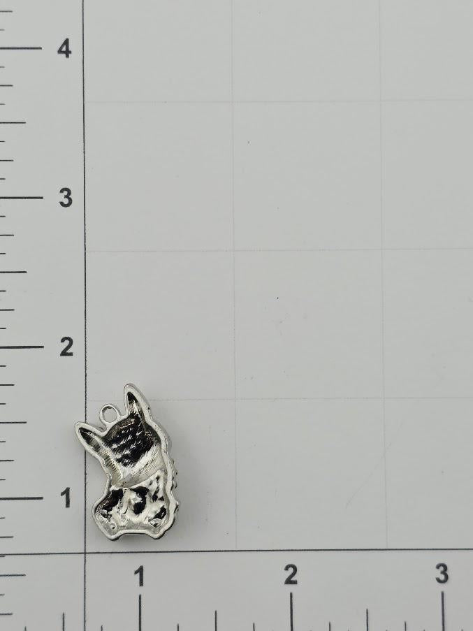 A silver-colored metal charm or pendant is placed on a ruler, indicating its size relative to the ruler's measurements.