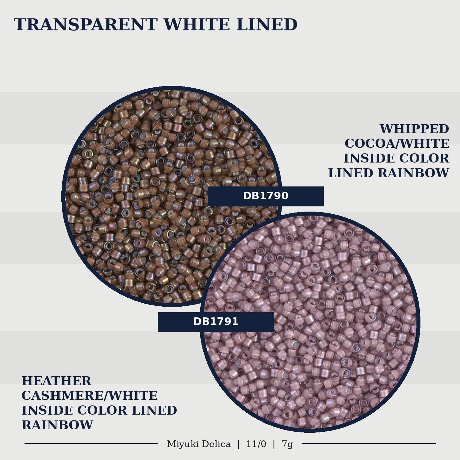 a diagram of different types of food