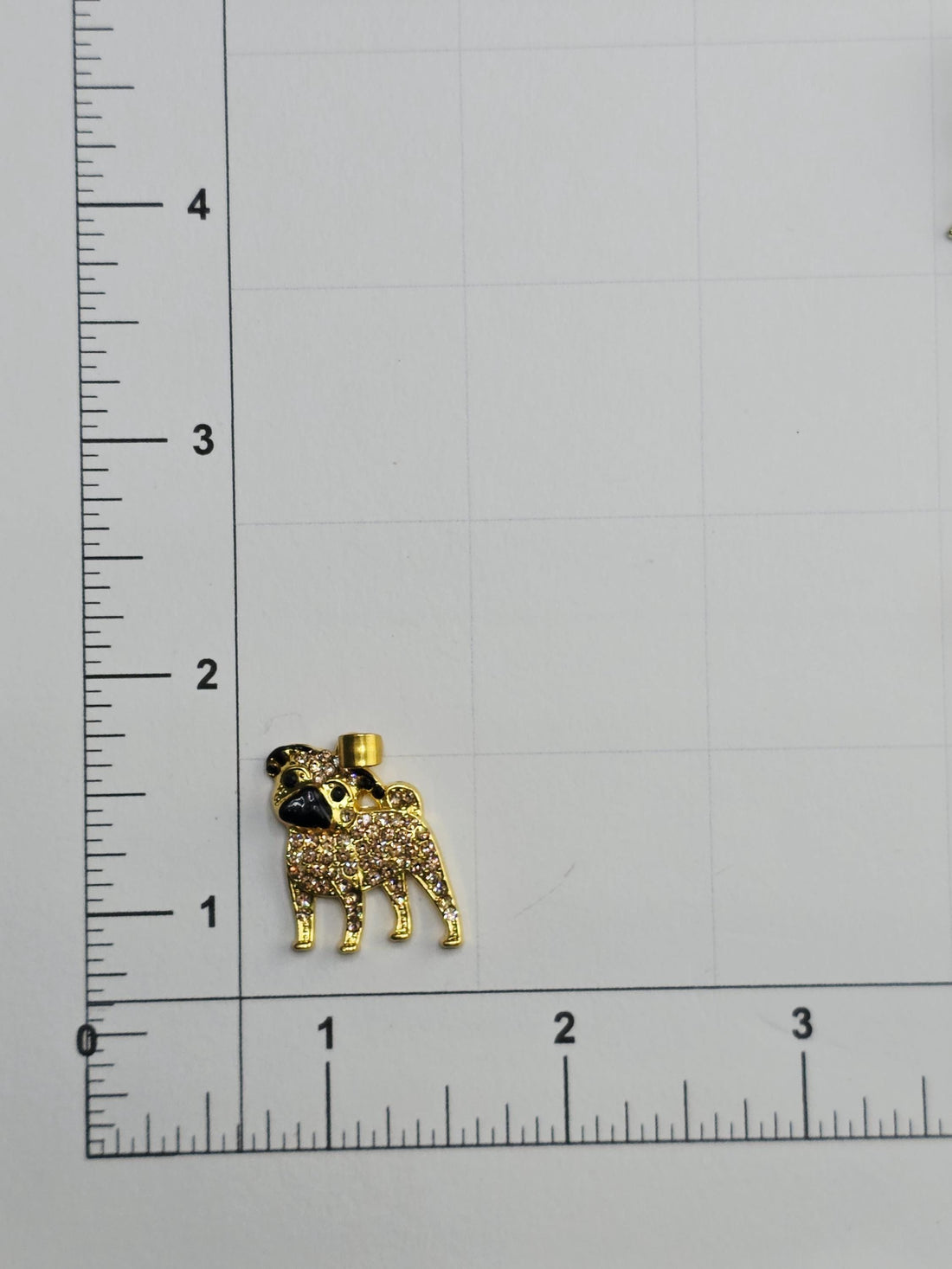 A decorative silver frame with a gold pug charm in the center.