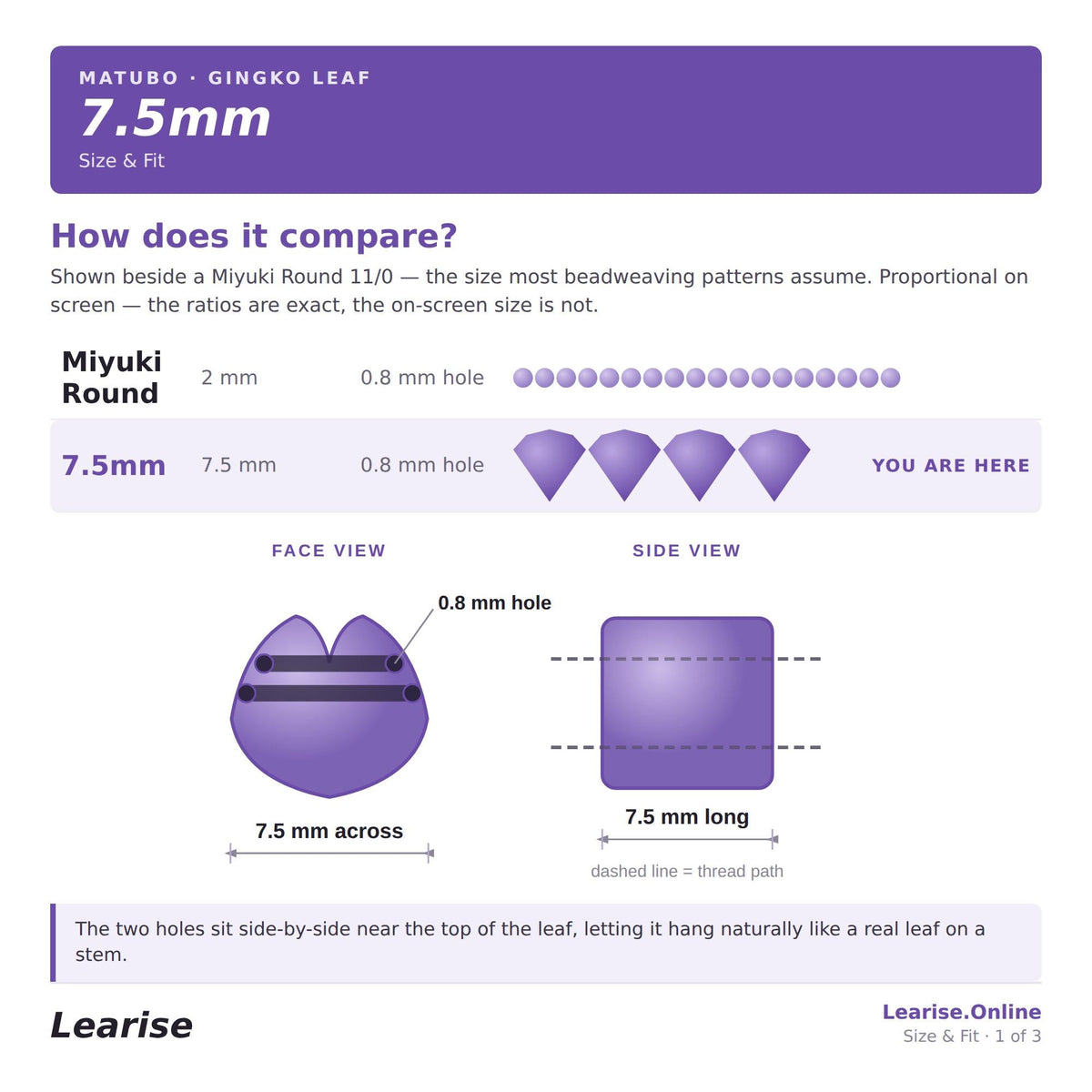 The image is a comparison of the size and fit of a Maturo - Gingko Leaf. It shows the size and fit of the leaf in different views, including a face view and a side view. The leaf is shown in various sizes, ranging from 7.5mm to 7.5mm across, and 7.5mm long. The leaf is depicted in two different positions: one near the top of the leaf and one hanging naturally like a real leaf on a stem. The image does not contain any redundancy or vague wording, and it is a collage of multiple images.
