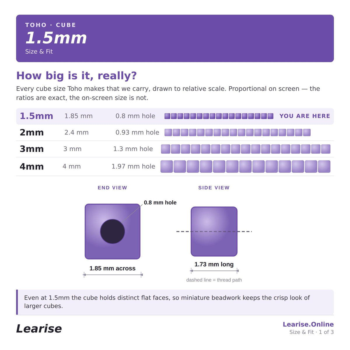 a diagram of how big is it really?